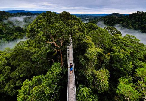 Belalong Canopy Walkway